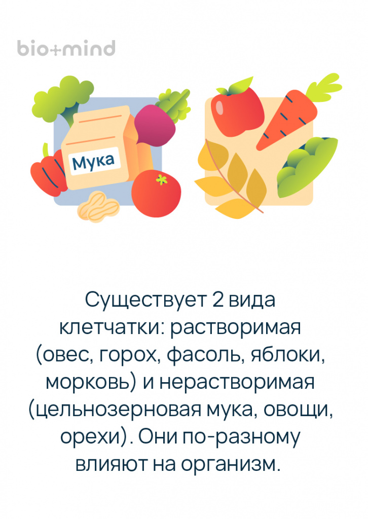 Информационная графика с иллюстрациями пищевых продуктов и описанием двух видов клетчатки: растворимой (овес, горох, фасоль, яблоки, морковь) и нерастворимой (цельнозерновая мука, овощи, орехи).