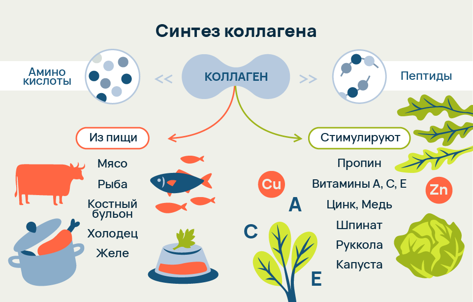 иллюстрации_коллаген2-07.png