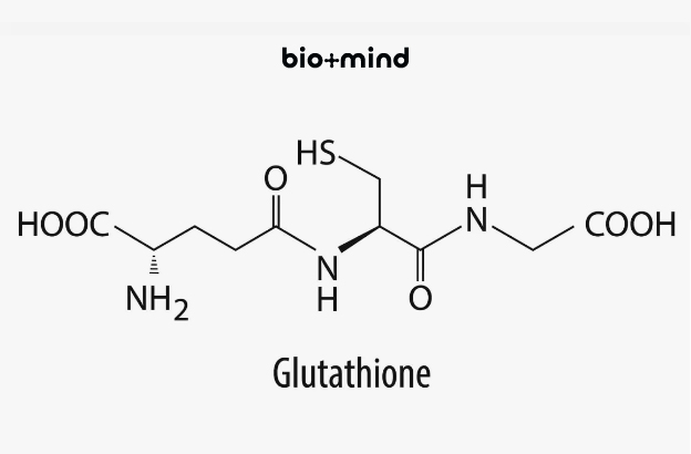 Строение молекулы глутатиона