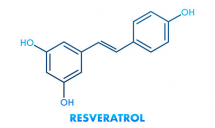 Ресвератрол - «молекула молодости» и борец с онкологией