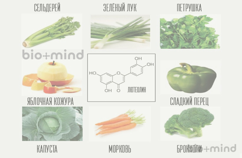Лютеолин: полезные свойства и эффекты флавона