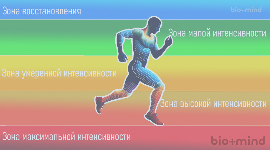 Схема зон интенсивности тренировок с изображением бегущего человека