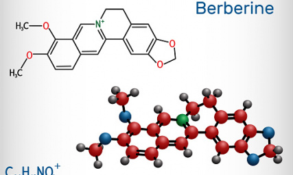 Берберин: мощный союзник в борьбе за метаболическое здоровье