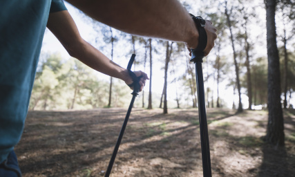 Nordic walking: пособие для начинающих ходоков